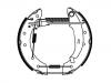 Zapata de freno Brake Shoe Set:4241.9F